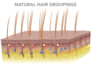 Natural Hair Groupings