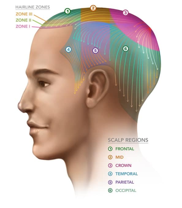 scalp-regions-ilht-dubai